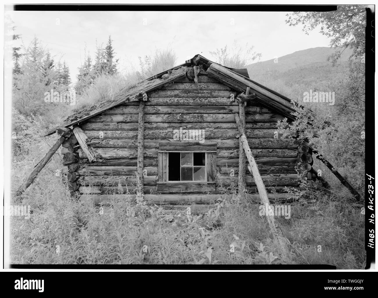 REAR, LOOKING WEST - James Minano Cabin, Slate Creek at Koyukuk River, Bettles Vicinity, Coldfoot, Yukon-Koyukuk Census Area, AK Stock Photo