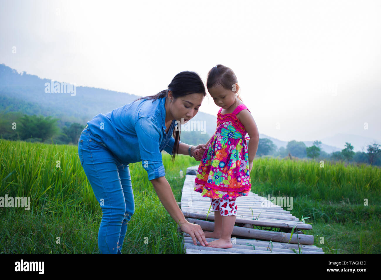 Help Cross Stream Mother help her child to cross stream, mother lifting daughter in rice ...