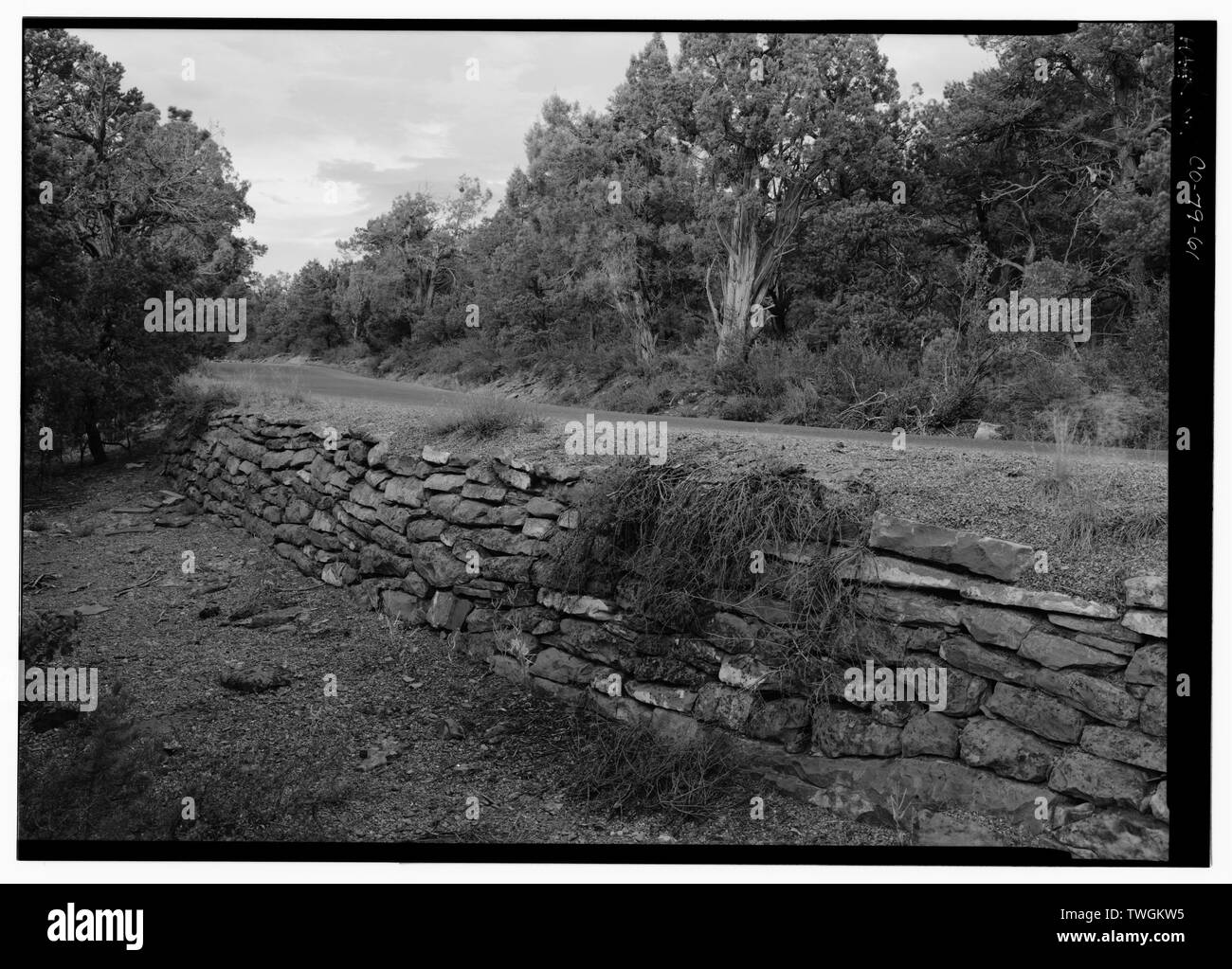 RETAINING WALL ON CLIFF PALACE ROAD, FACING NE. Mesa Verde National