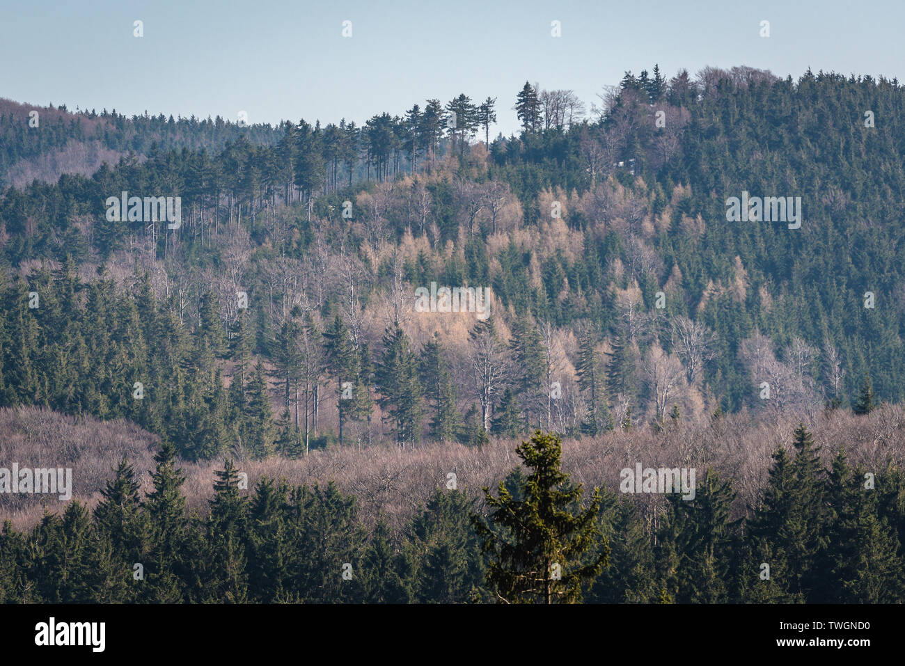 Forests in Landscape Park of Gory Sowie (Owl Mountains) mountain range in  Central Sudetes, Poland Stock Photo - Alamy