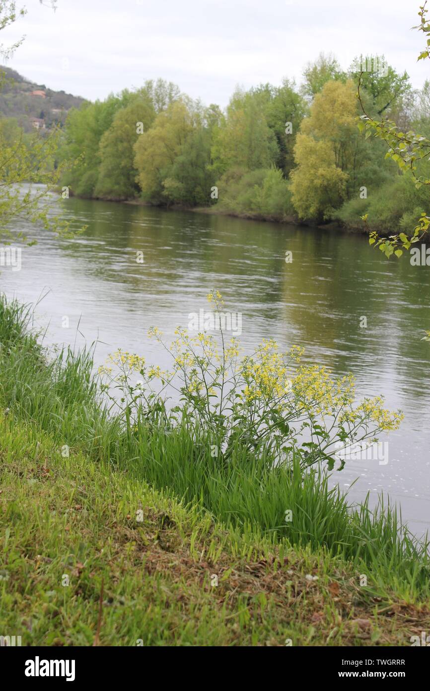 Flowing river, Dordogne Stock Photo