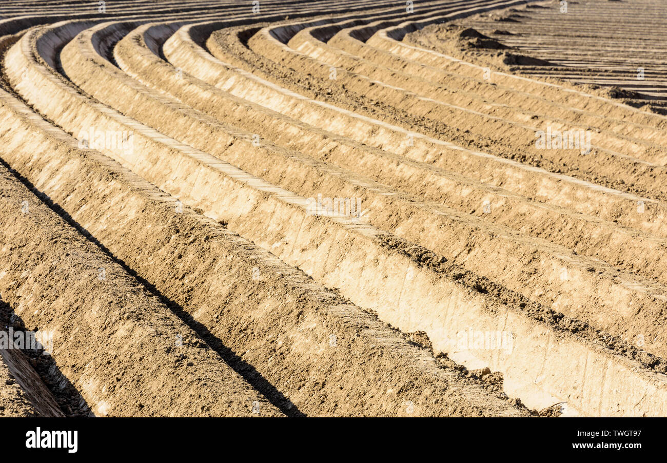 Deep and regular, curved furrows in a freshly plowed field in the ...