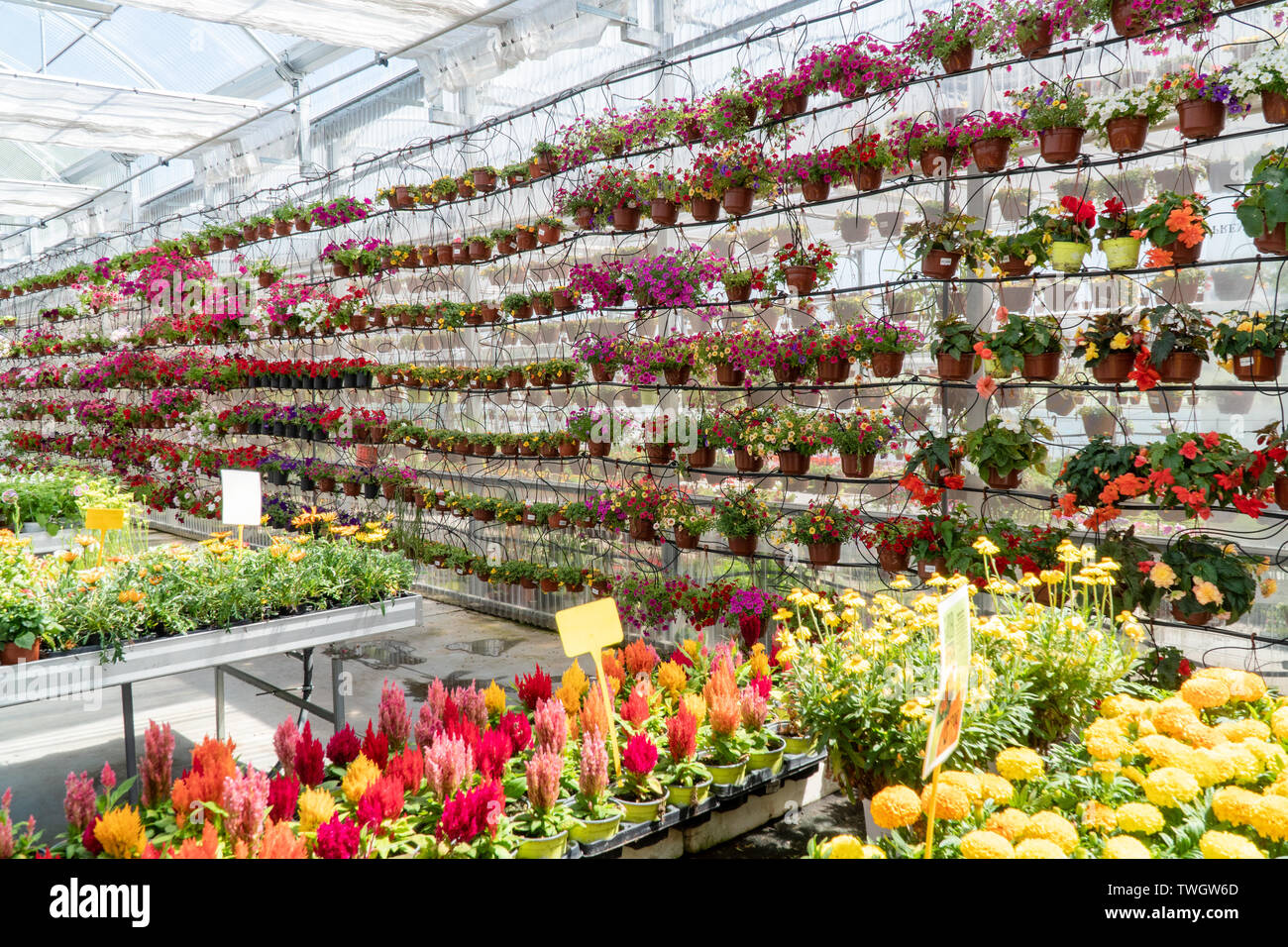 Garden store center. Gardening concept Stock Photo Alamy