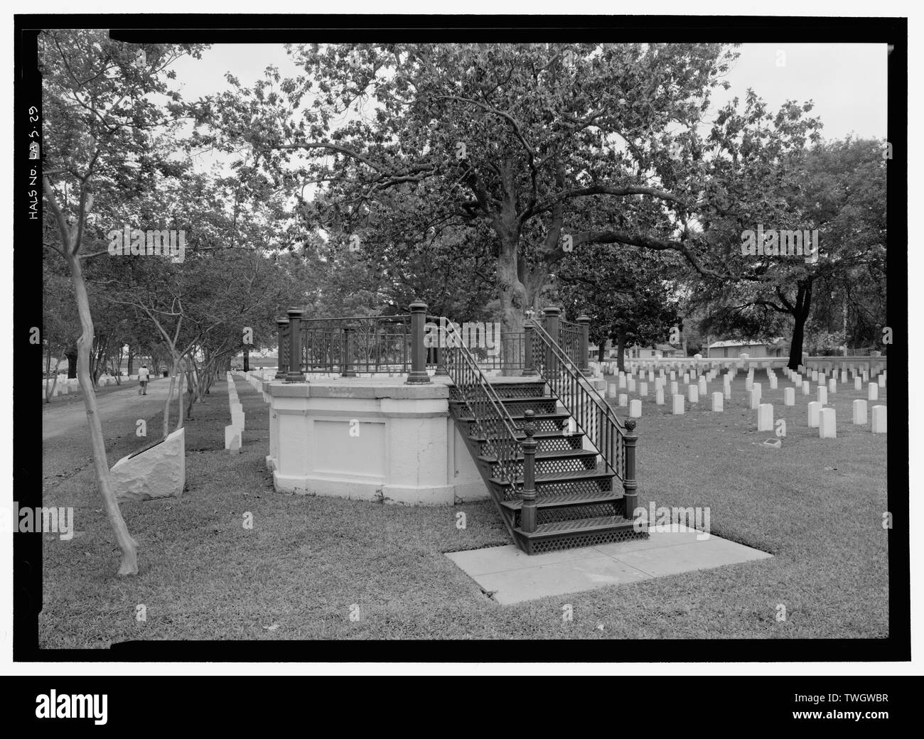 Far section Cut Out Stock Images & Pictures - Alamy
