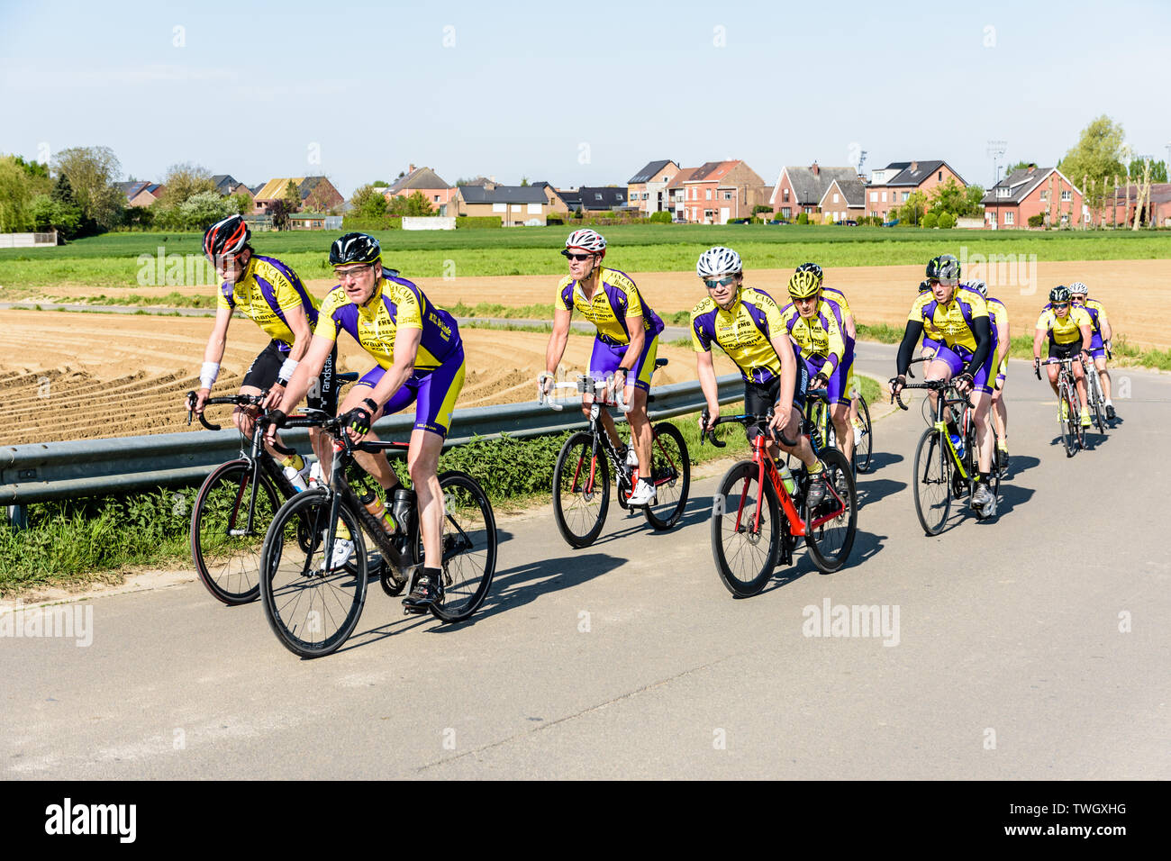 A team of amateur male cyclists is riding through the belgian countryside on a morning training outing in the outskirts of Brussels. Stock Photo