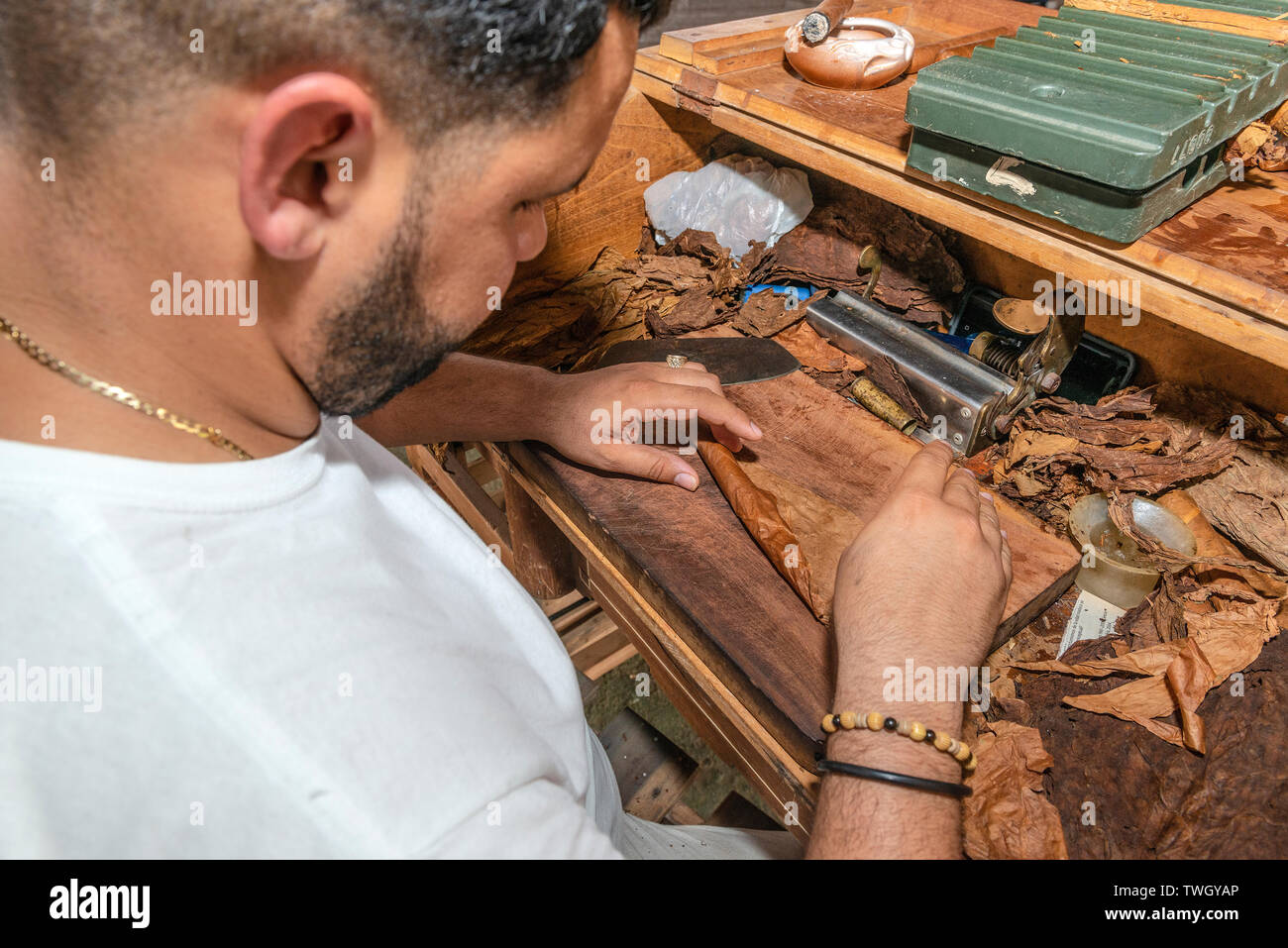 Cigar roller or torcedero making cigars in the town of Vinales, Pinar Del Rio Province, Cuba, Caribbean Stock Photo