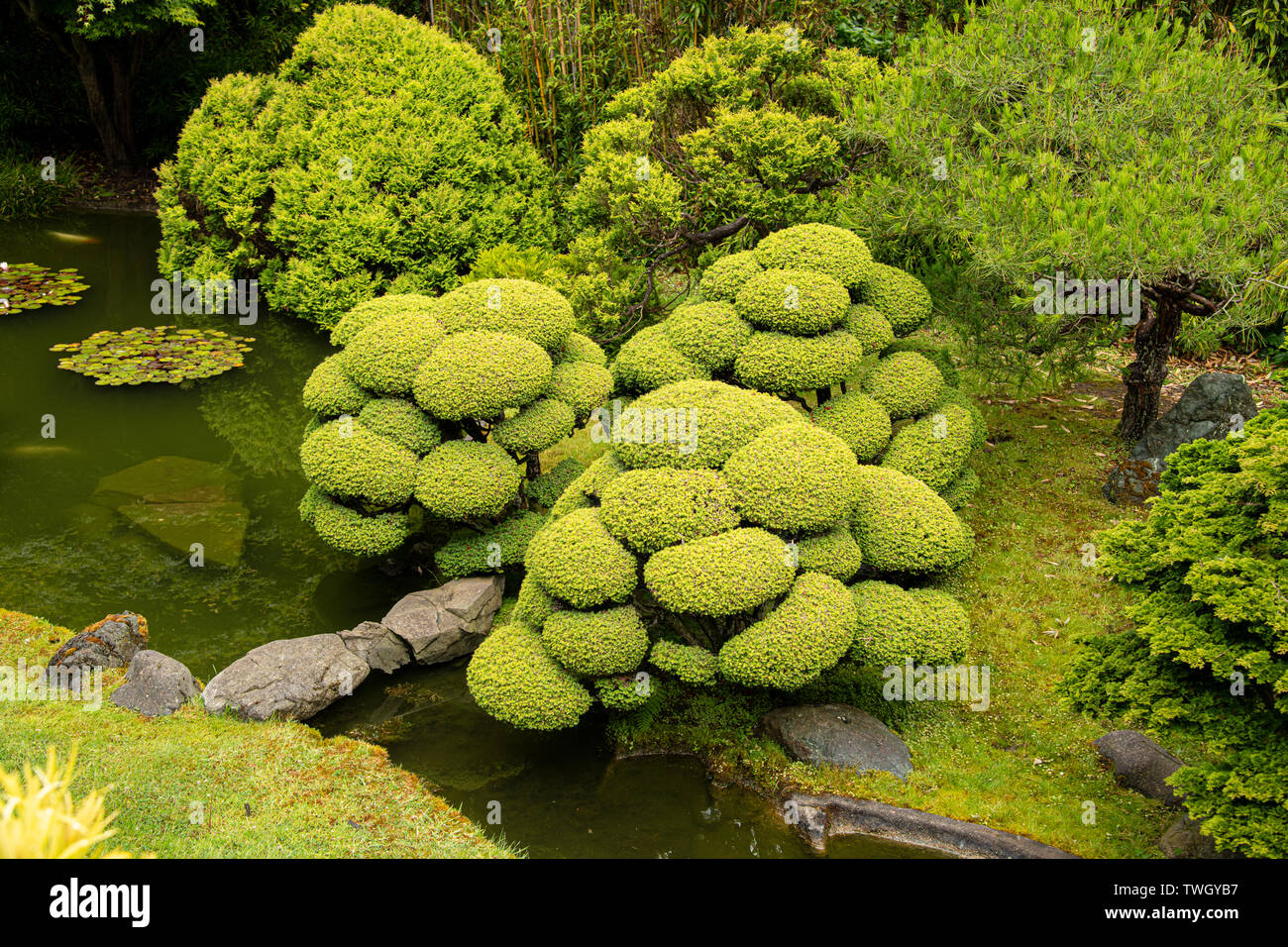 Golden Gate Park Japanese Tea Garden Stock Photo Alamy