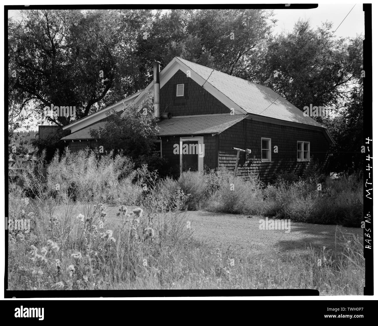Lame deer Cut Out Stock Images & Pictures Alamy