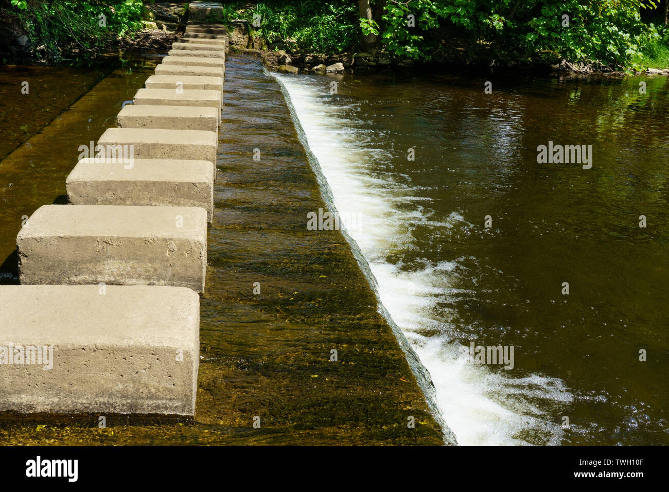 Squareshaped concrete stepping stones across the River Skell and Weir