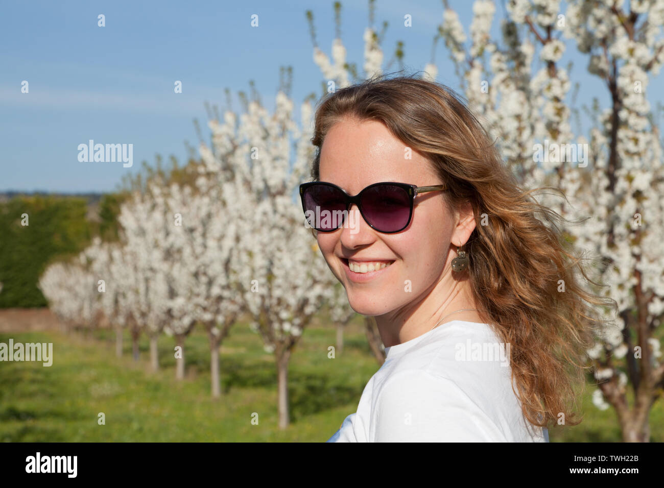 Young woman in sunglasses on a field with blooming almond trees. France. Stock Photo