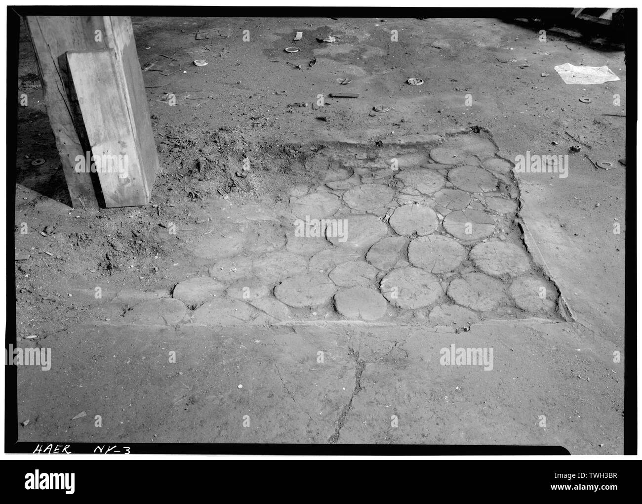 Adams river Cut Out Stock Images & Pictures Alamy