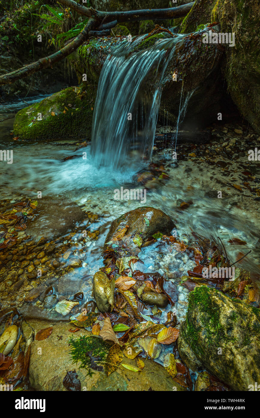 autumn colors in Orfento stream, Majella National Park Stock Photo