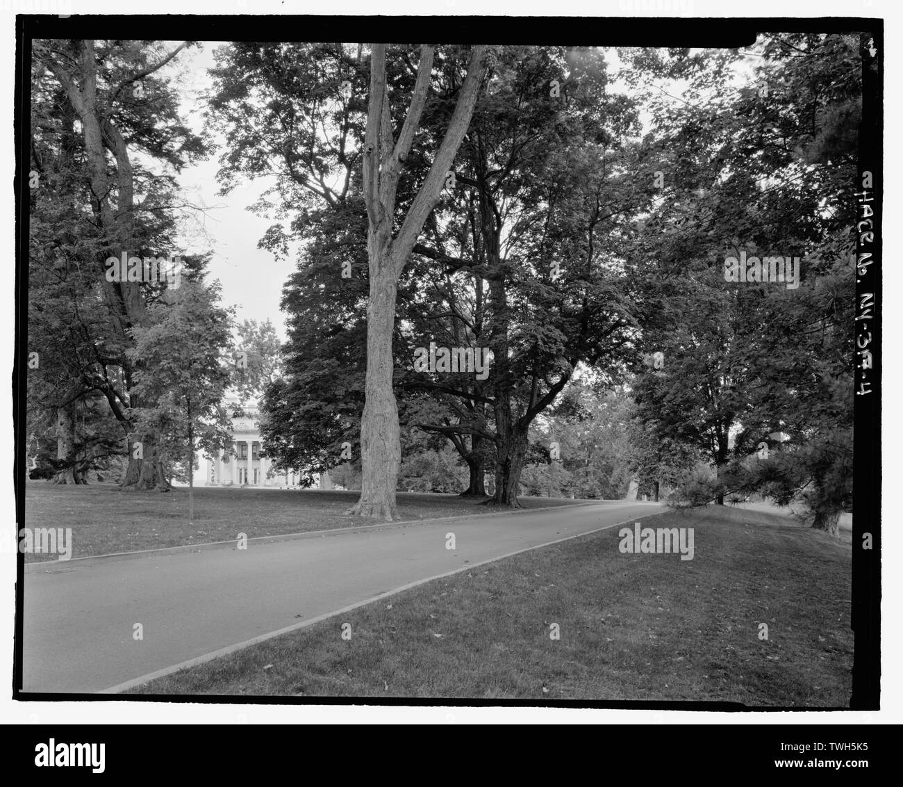 Road to mansion, with mansion through trees, NPS Route 10, view NW. - Vanderbilt Mansion Roads and Bridges, Hyde Park, Dutchess County, NY Stock Photo