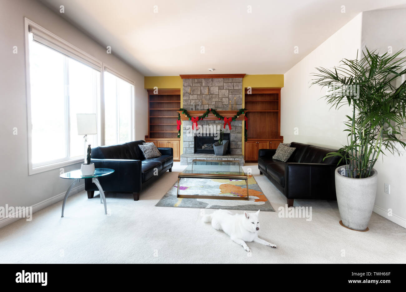 Family Dog In Modern Living Or Family Room Decorated With