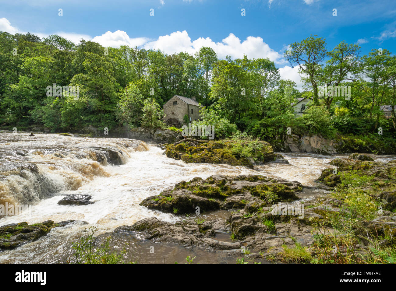 The falls (waterfalls) on the River Teifi at the village of Cenarth in Carmarthenshire, Wales, UK Stock Photo