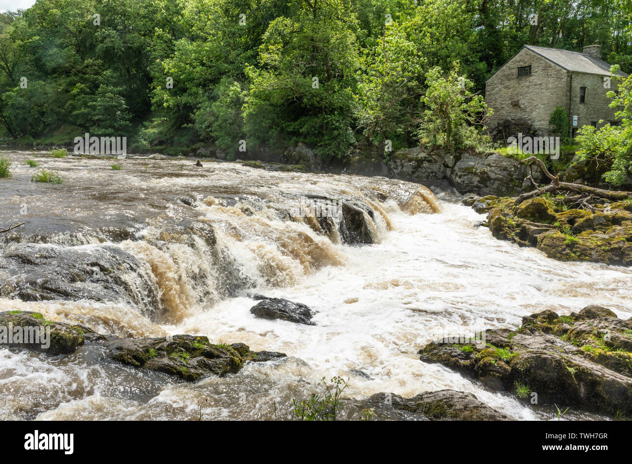 The falls (waterfalls) on the River Teifi at the village of Cenarth in Carmarthenshire, Wales, UK Stock Photo