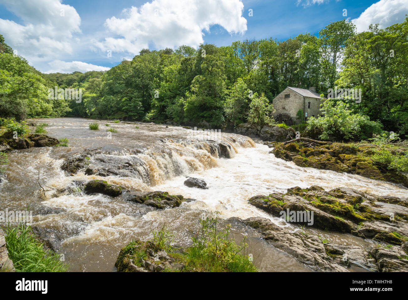 The falls (waterfalls) on the River Teifi at the village of Cenarth in Carmarthenshire, Wales, UK Stock Photo