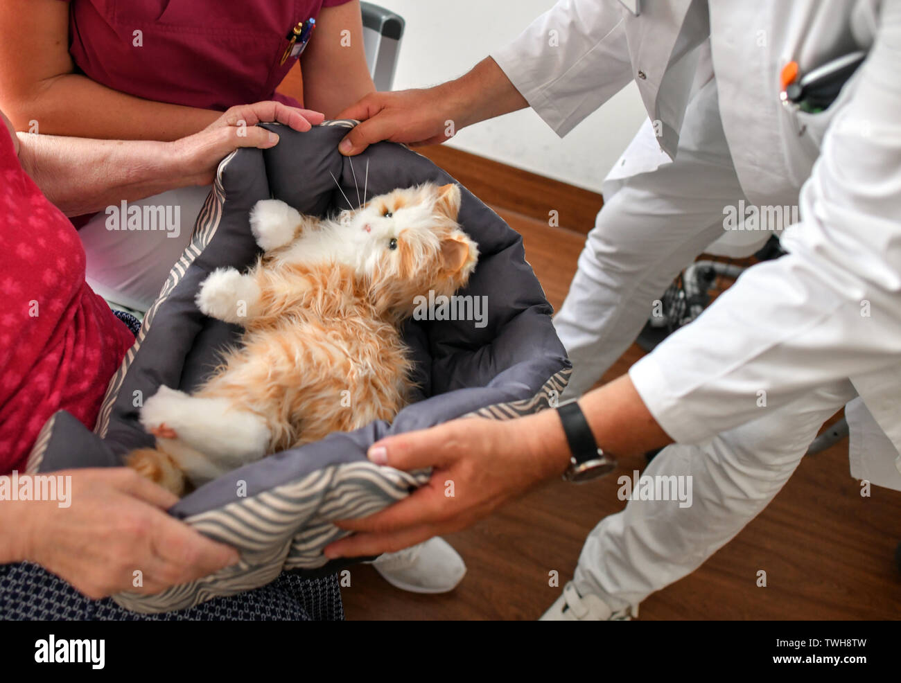 Glg symbol hi-res stock photography and images - Alamy