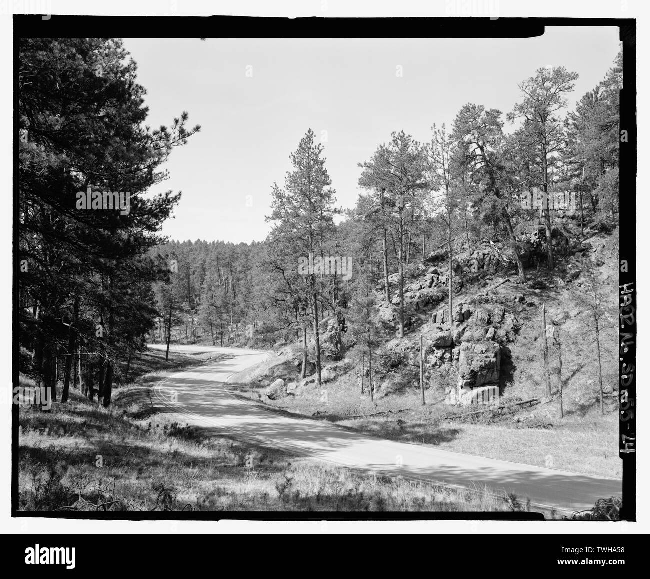 Route 87, road alignment north of Pigtail Bridge. View SW. - Wind Cave Roads and Bridges, Hot Springs, Fall River County, SD; South Dakota State Highway Commission; Civilian Conservation Corps; Bingham, Jesse; Bingham, Tom; McDonald, Jesse; Stabler, John; Stabler, Charles; Moss, John C; Roosevelt, Theodore; Goodwin, George; Cammerer, Arno; Norbeck, Peter; TJ Tobin Construction Company; Northwestern Construction Company; Flyte, William; John W Strahan Construction Company; Brady Engineering Company; Gray, Charles, field team project manager; Magdalenos, Christine, landscape architect; Marston, Stock Photo