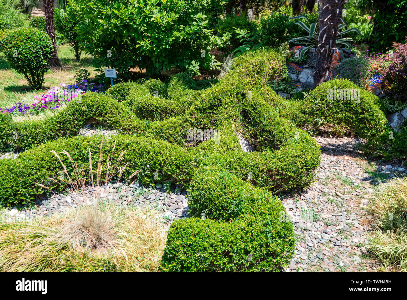 Octopus Garden High Resolution Stock Photography and Images - Alamy