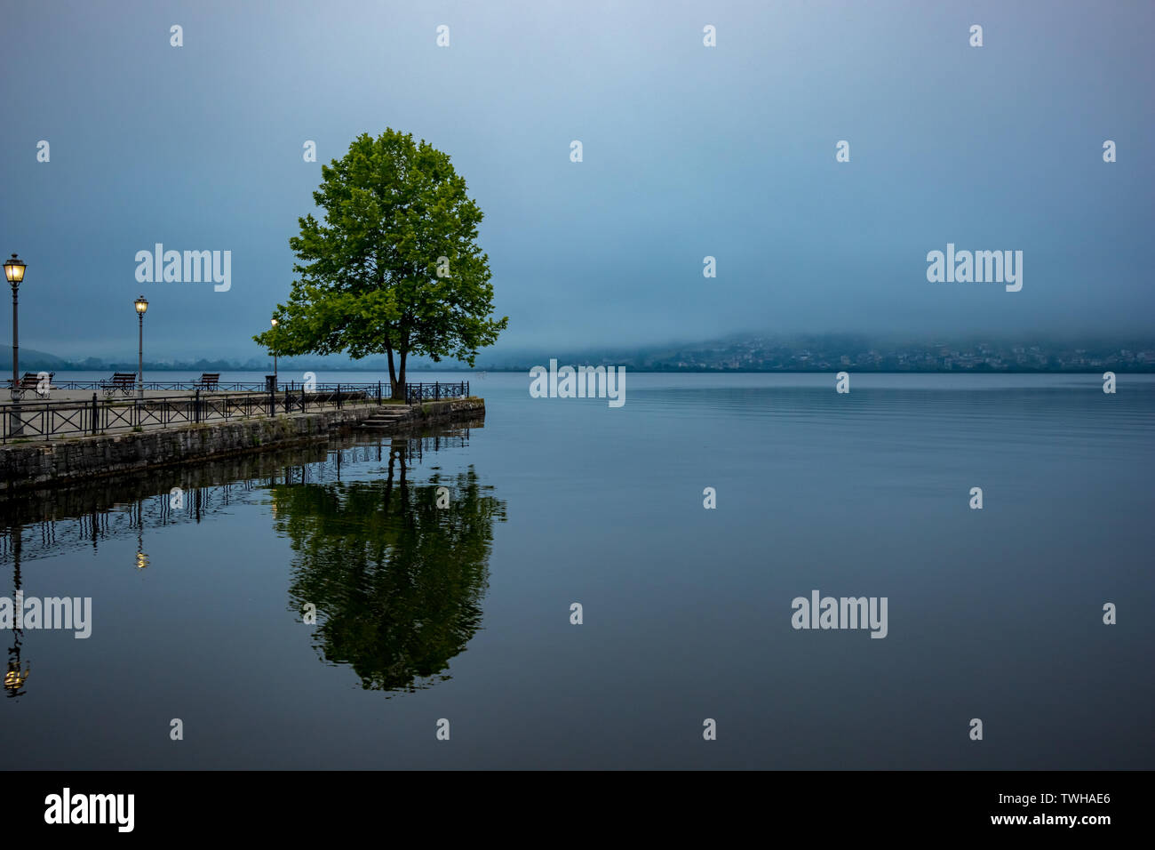 Ioannina, Greece, lake misty early spring morning with fog over the lake Pamvotida calm waters. Tree reflection, high contrast mystical picture Stock Photo