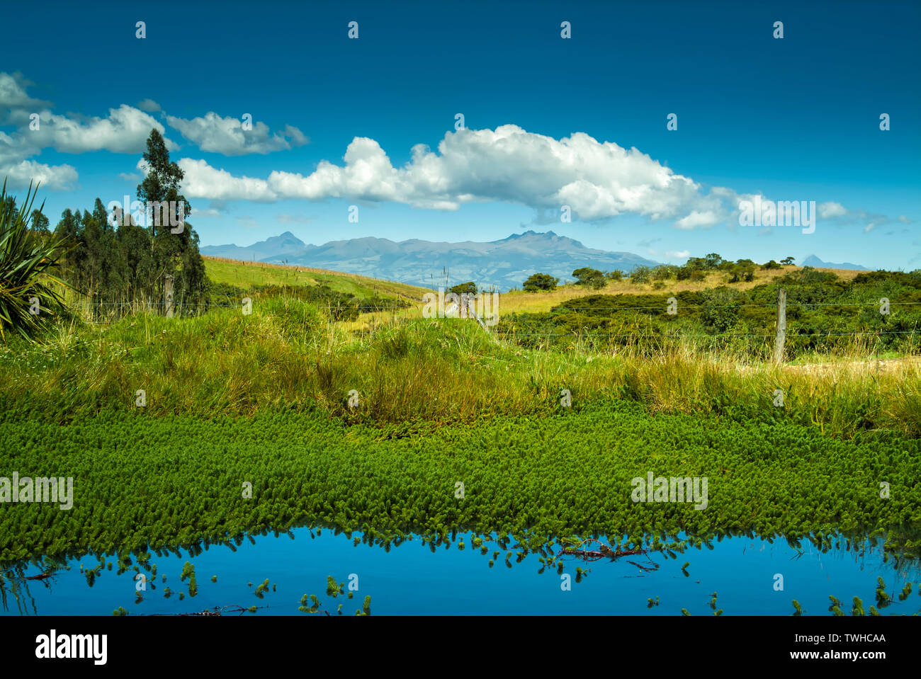 Ecuador blue sky hi-res stock photography and images - Alamy