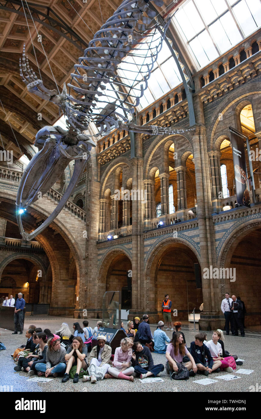 Extinction Rebellion protesters at the Natural History Museum opposing NHM hosting a dinner for the Petroleum Group of the Geological Society. Stock Photo