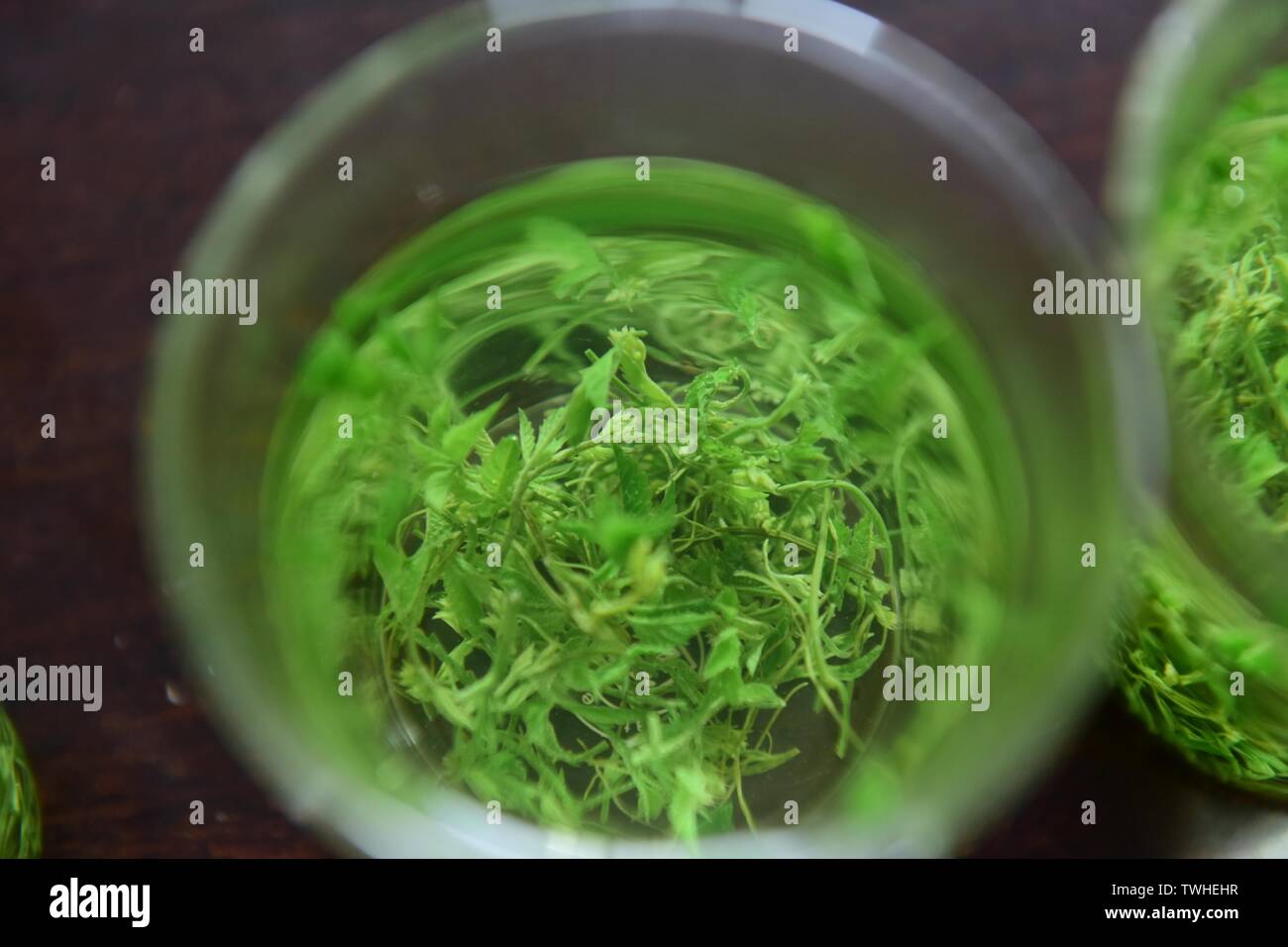 Tangle Tea Tangled blue tea Stock Photo - Alamy