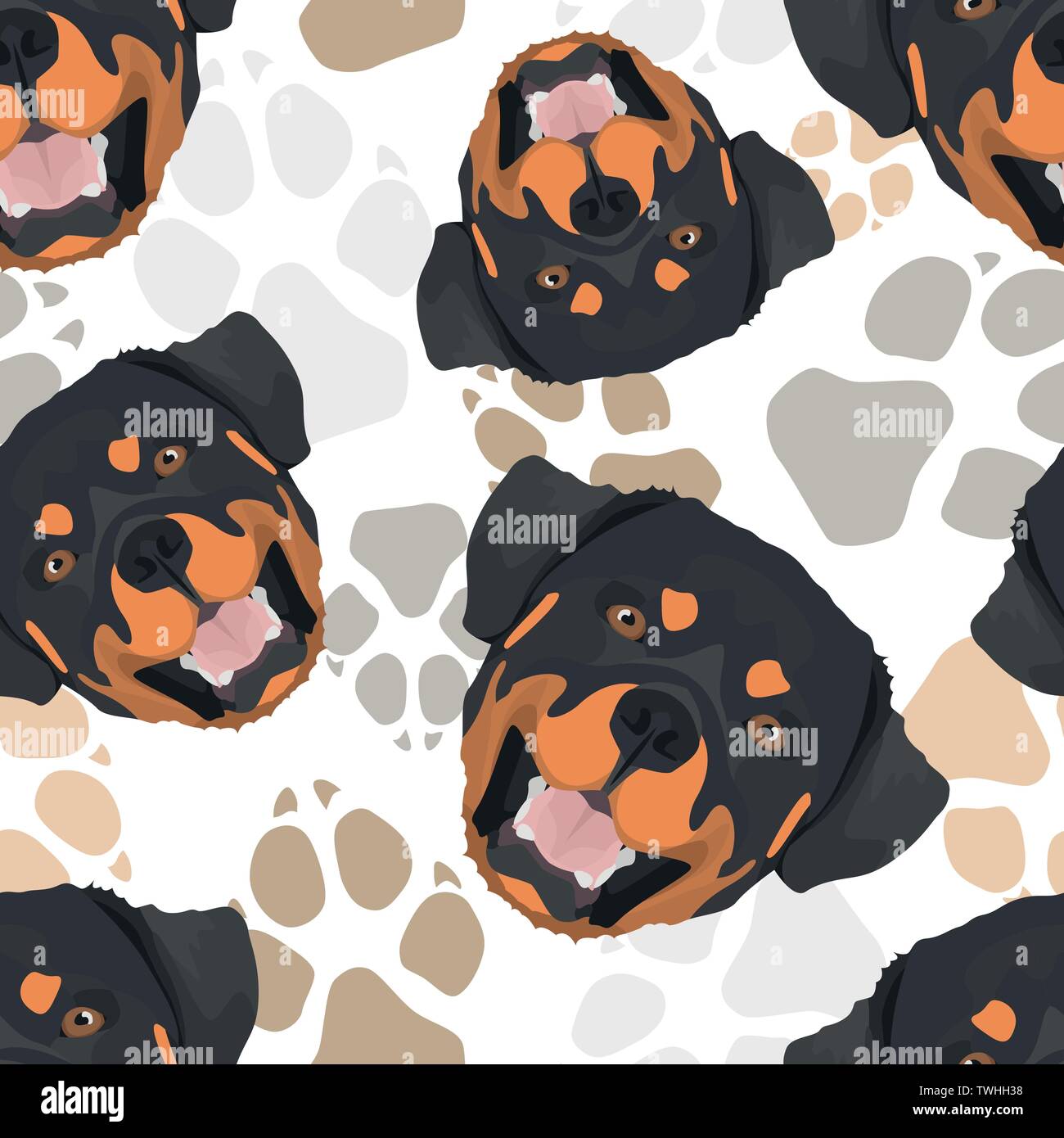 Rottweiler Color Pattern Rottweiler bone hi-res stock photography and images - Alamy