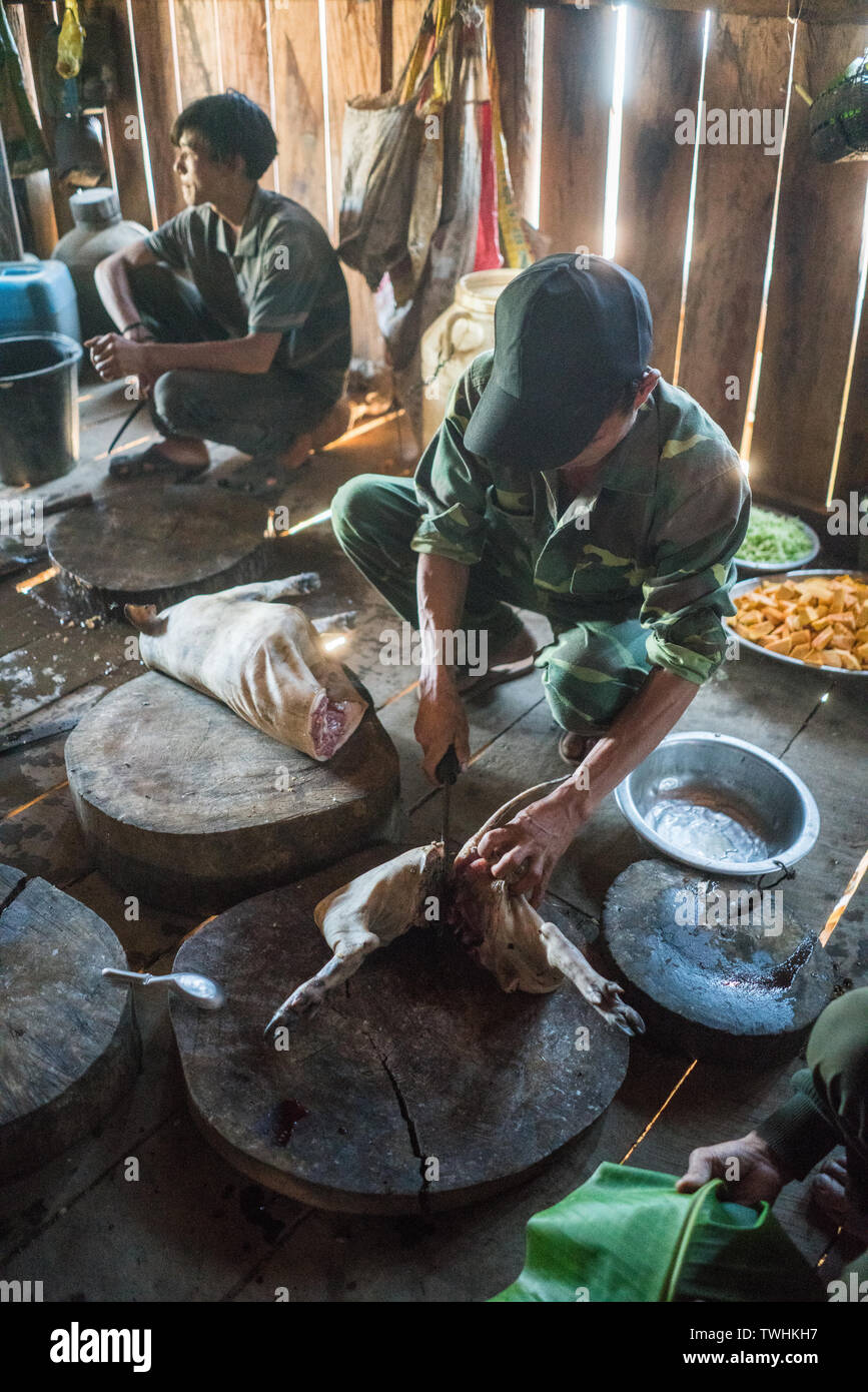 pig-slaughtering after shamanic ritual in the Akha village, Near Phongsali, Laos, Asia. Stock Photo