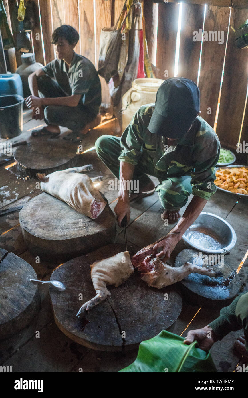 pig-slaughtering after shamanic ritual in the Akha village, Near Phongsali, Laos, Asia. Stock Photo
