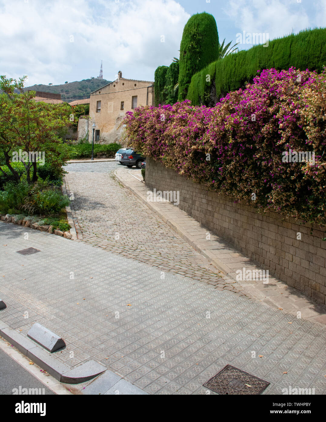 Pink house gallery hi-res stock photography and images - Alamy