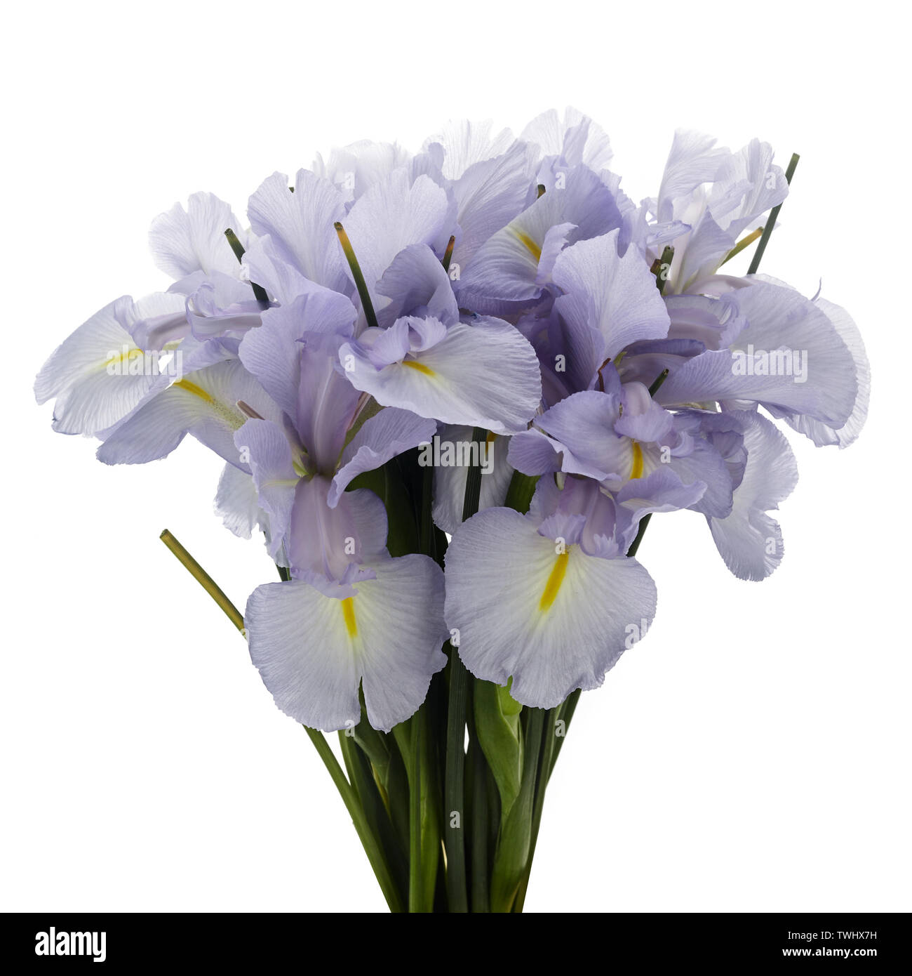 Minimal light blue studio hi-res stock photography and images - Alamy