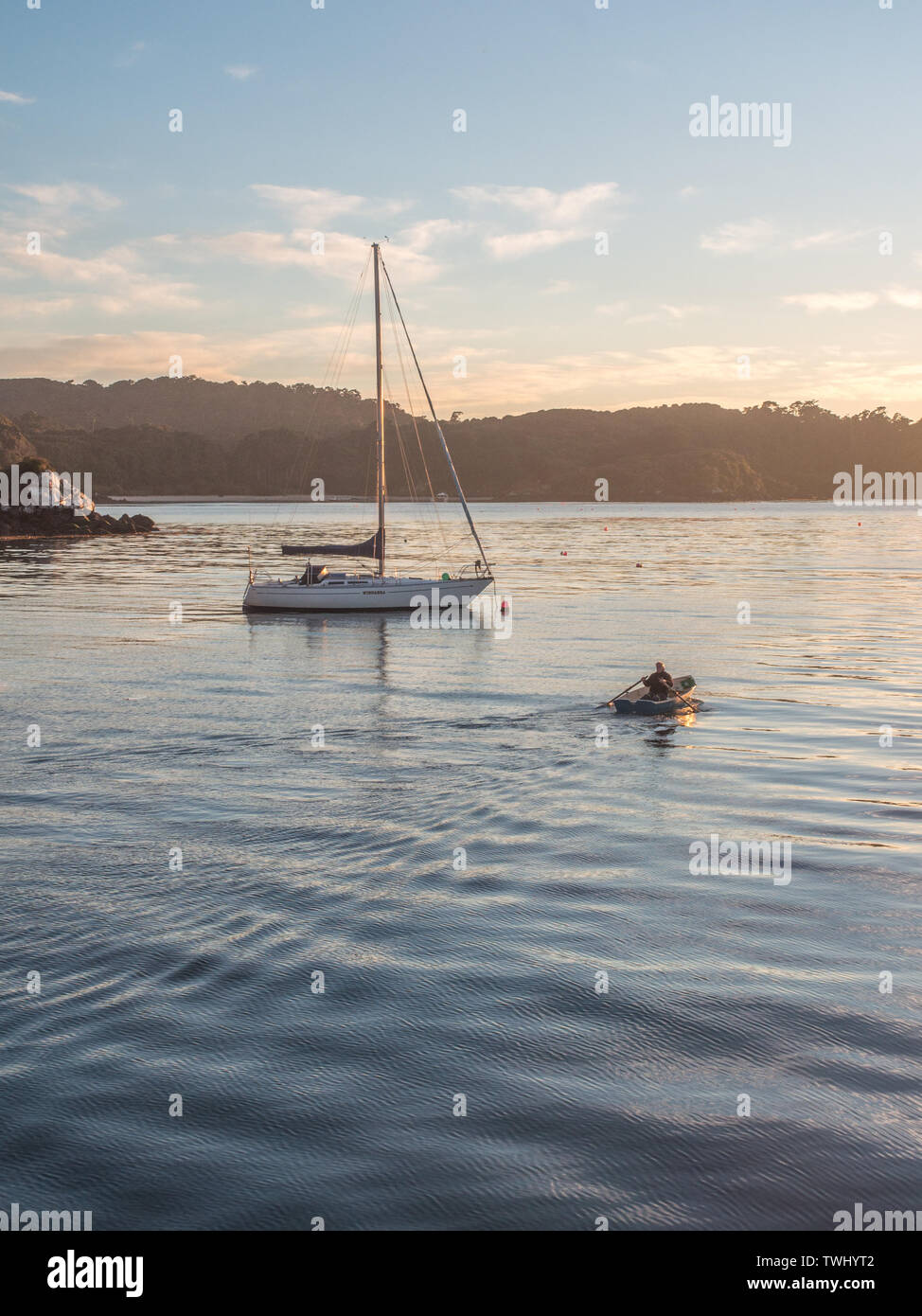 Early morning light reflected by a calm sea, one man rowing a dinghy toward a moored yacht,  Halfmoon Bay, Rakiura Stewart Island, New Zealand Stock Photo