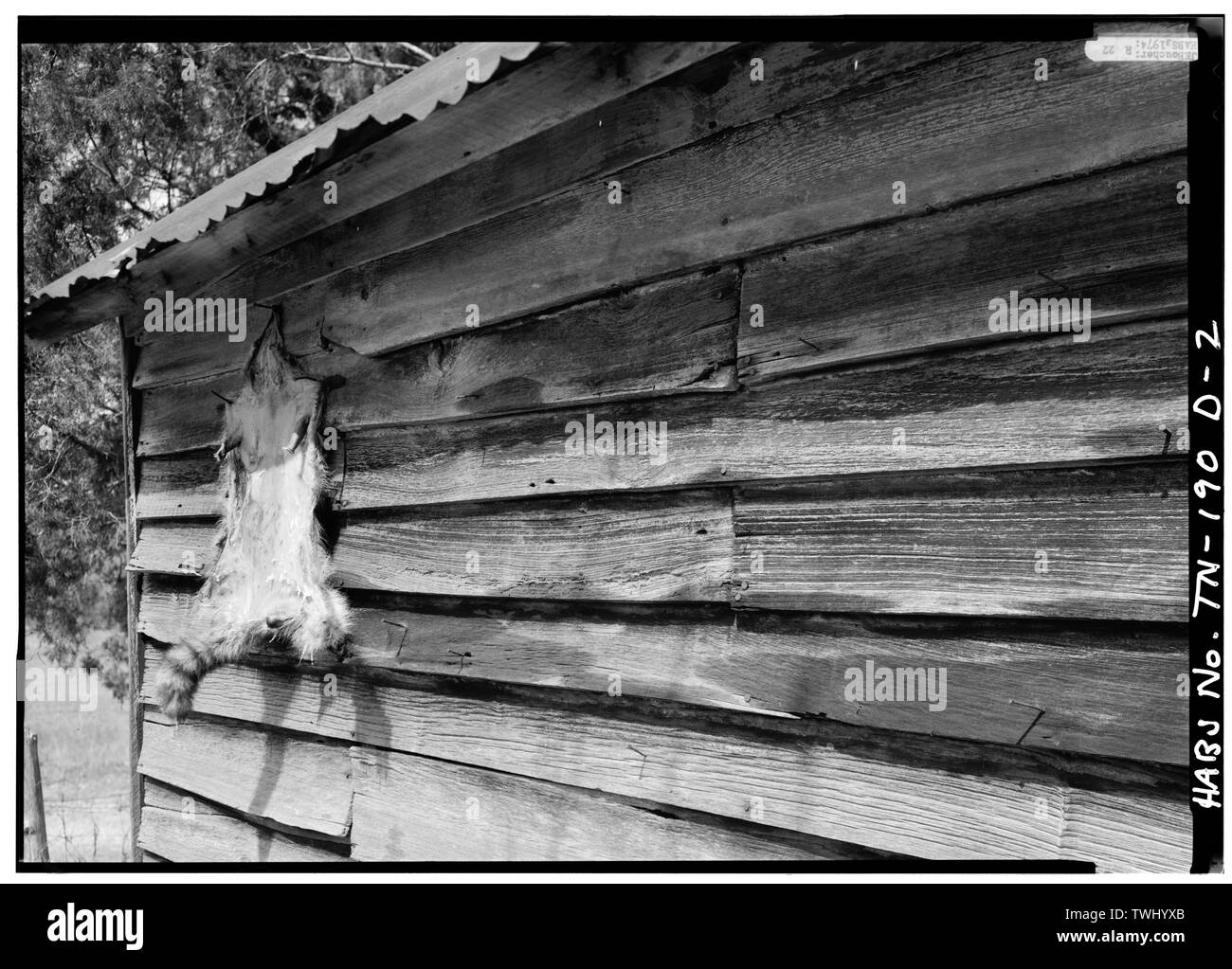 SIDING DETAIL - Stencil House, Saddlehouse, Clifton, Wayne County, TN Stock Photo