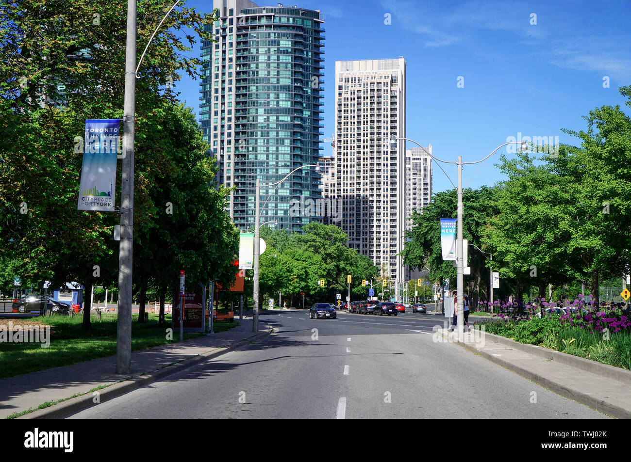 Picture of Lake Shore Boulevard