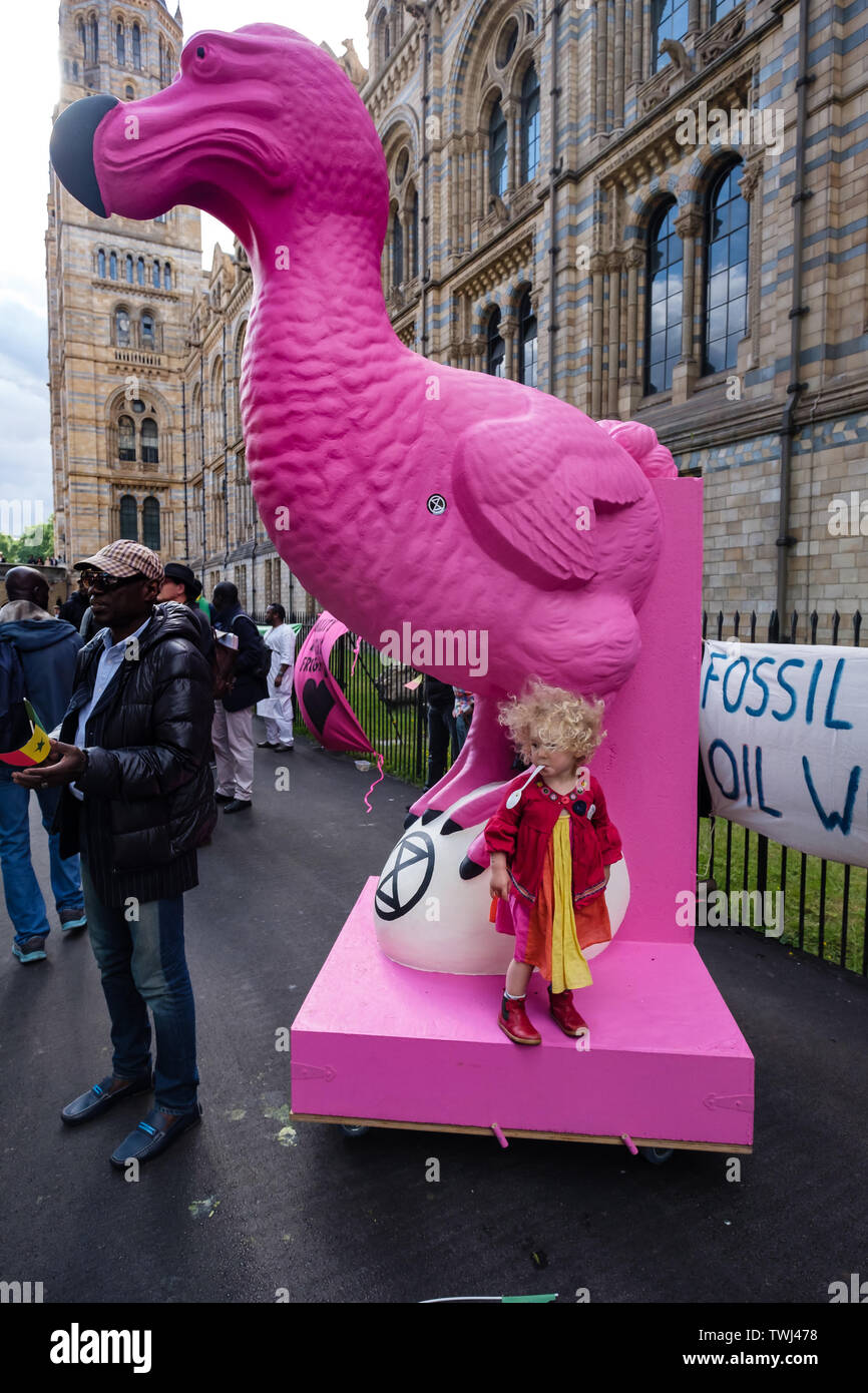 London, UK. 20th June 2019. Extinction Rebellion hold a party with a giant  pink Dodo outside the Natural History Museum which was hosting the annual  dinner of the Petroleum Group of the