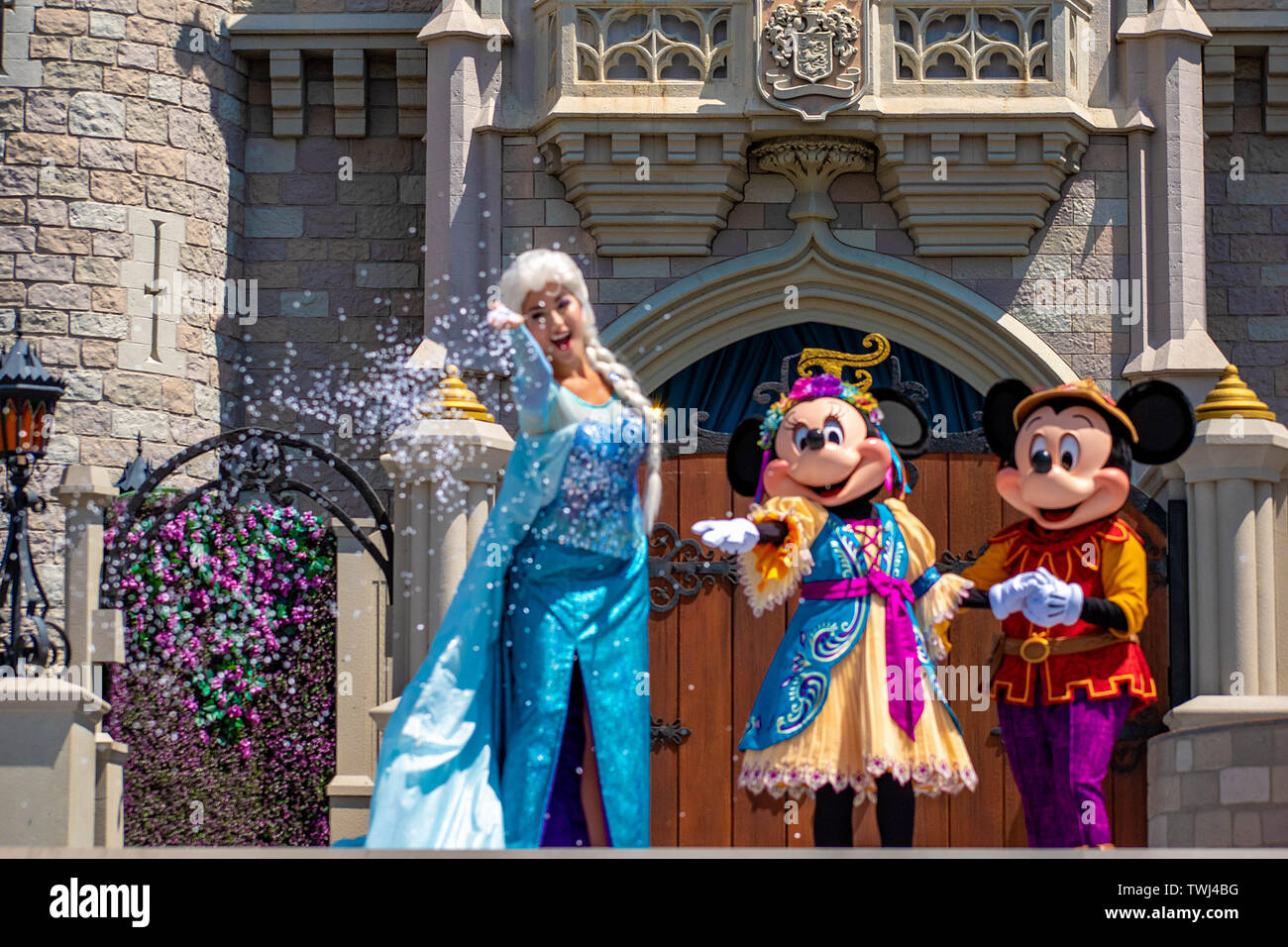 Elsa's castle 2025 disney world