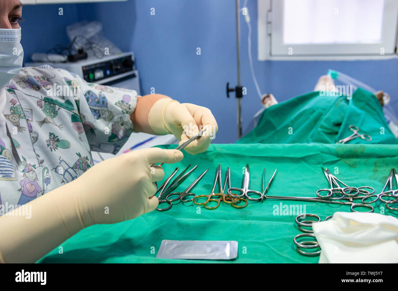 Veterinarian placing and preparing sterile material for a dog surgery