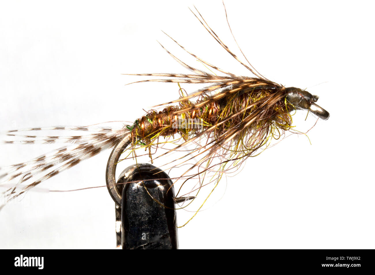 Fly Fishing Nymphs Stock Photos - 1,036 Images