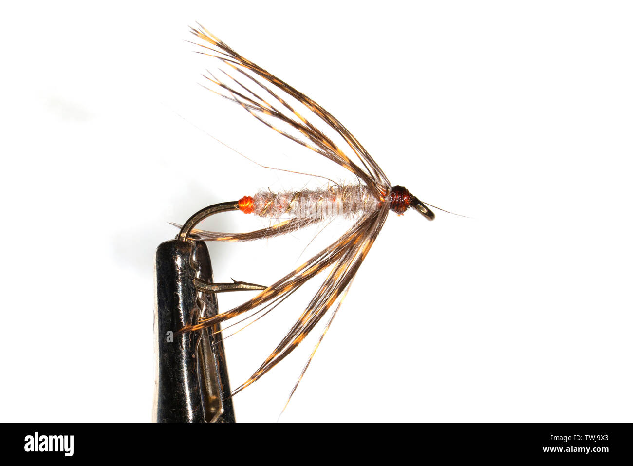 March brown spider fishing fly Stock Photo - Alamy