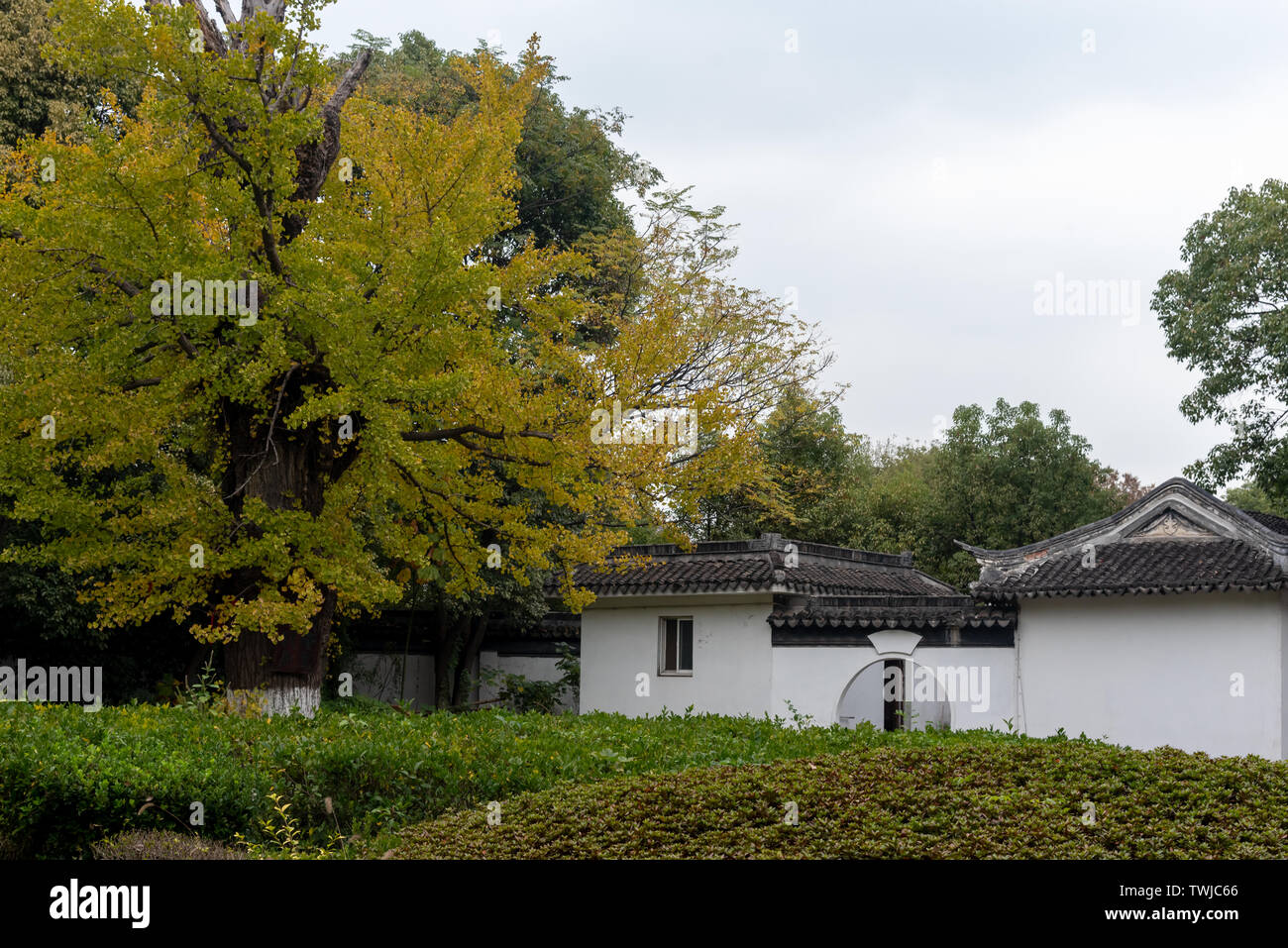 Architecture of Quanfu Temple in Suzhou Stock Photo - Alamy