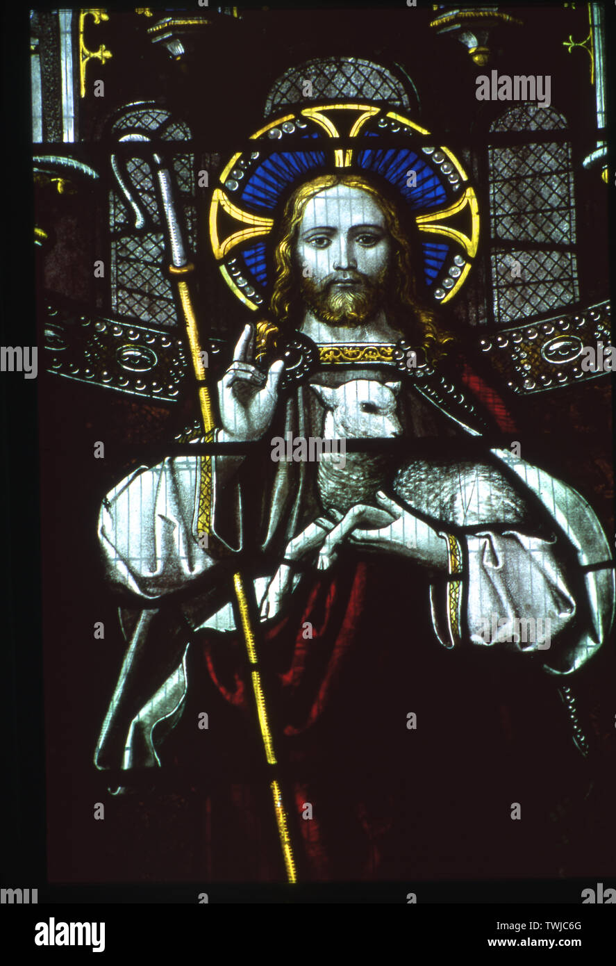 Stained glass window, Christ the Shepherd, St Edmund's, Assington, Suffolk, UK. Stock Photo