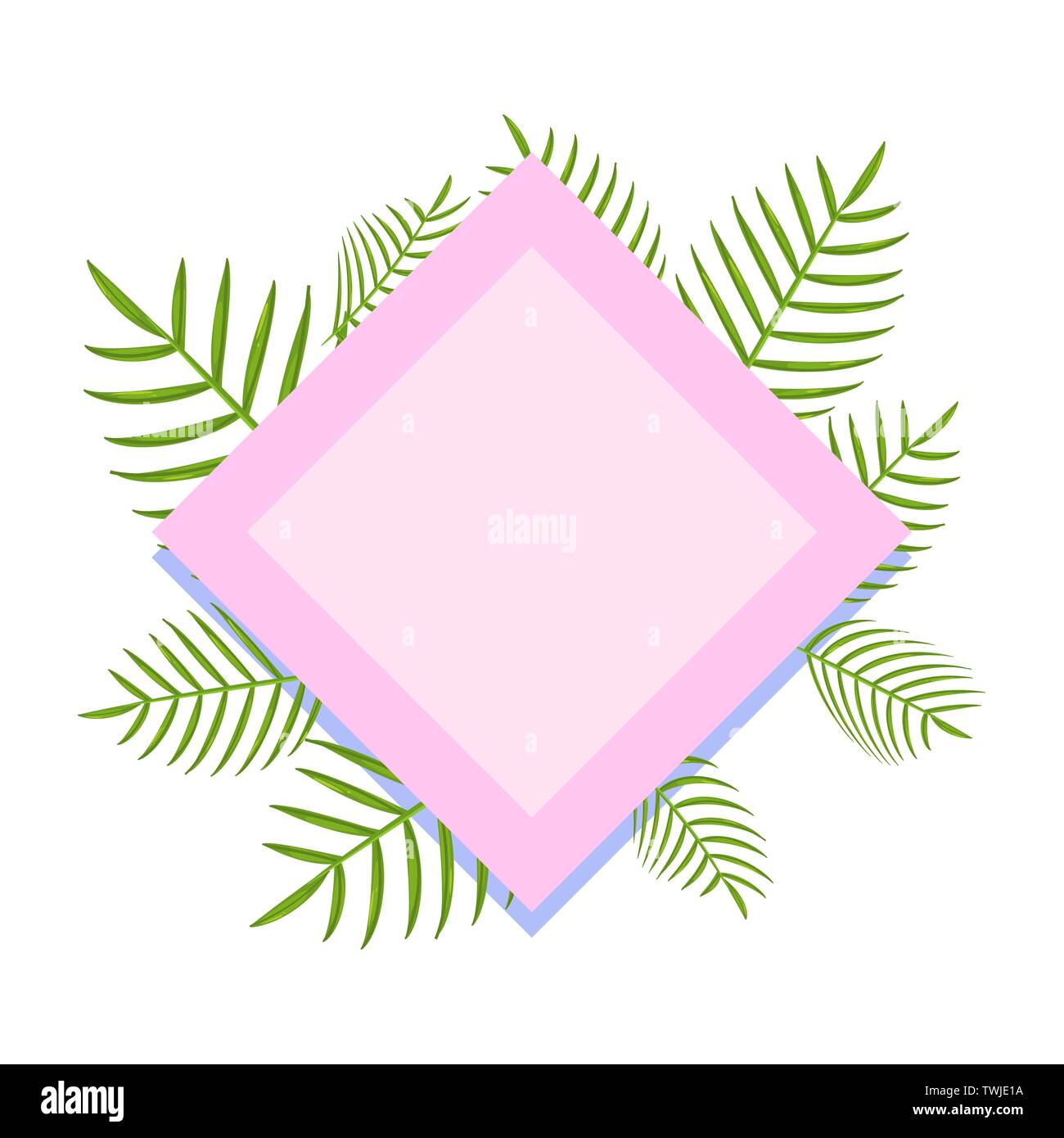 hello summer banner trendy tropical leaves vector illustration Stock ...