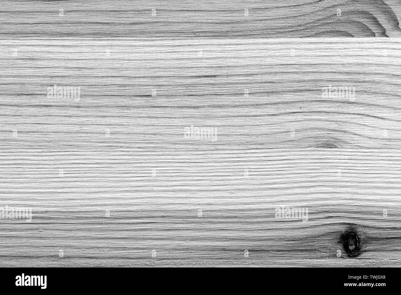 Texture of wood close up. Monochrome wooden background Stock Photo