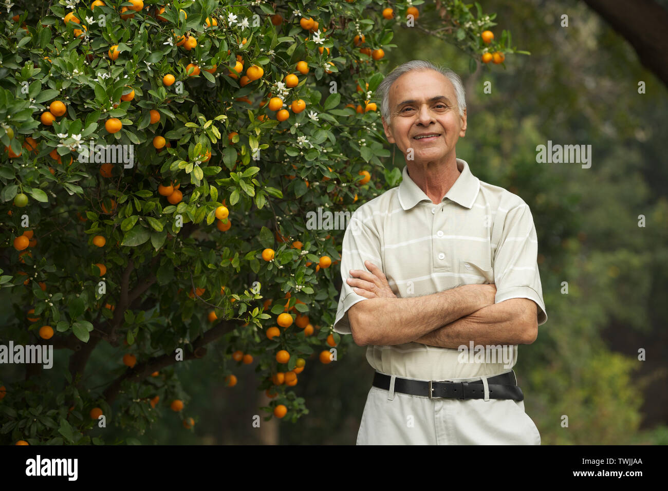 Portrait of an old man smiling with arms crossed Stock Photo - Alamy
