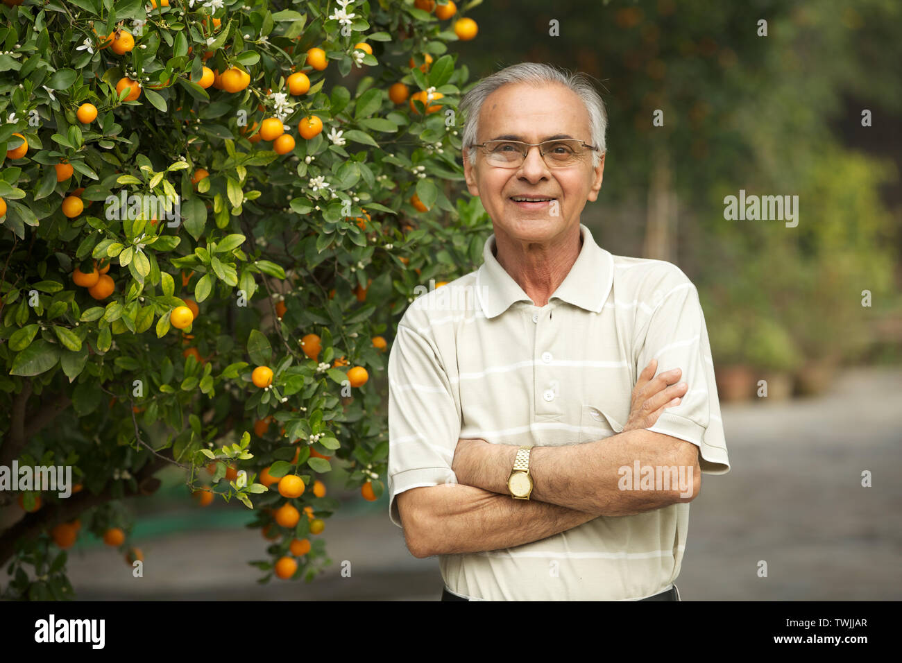 Portrait of an old man smiling with arms crossed Stock Photo - Alamy