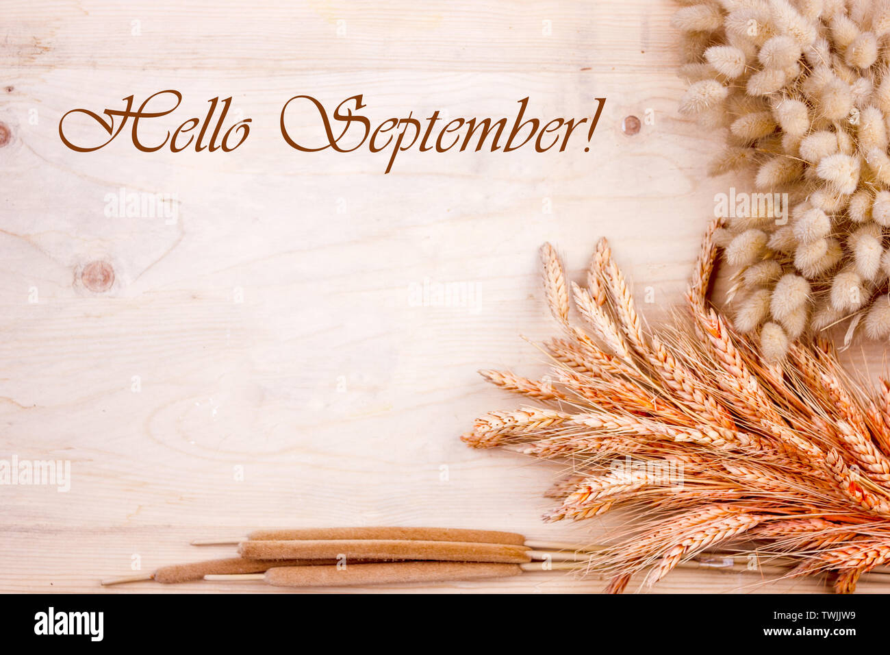 Hello september. autumn background with wheat heads, corn, pumpkin, apples,  rowan, chestnuts and leaves on wooden planks Stock Photo - Alamy, image size:1300x956
