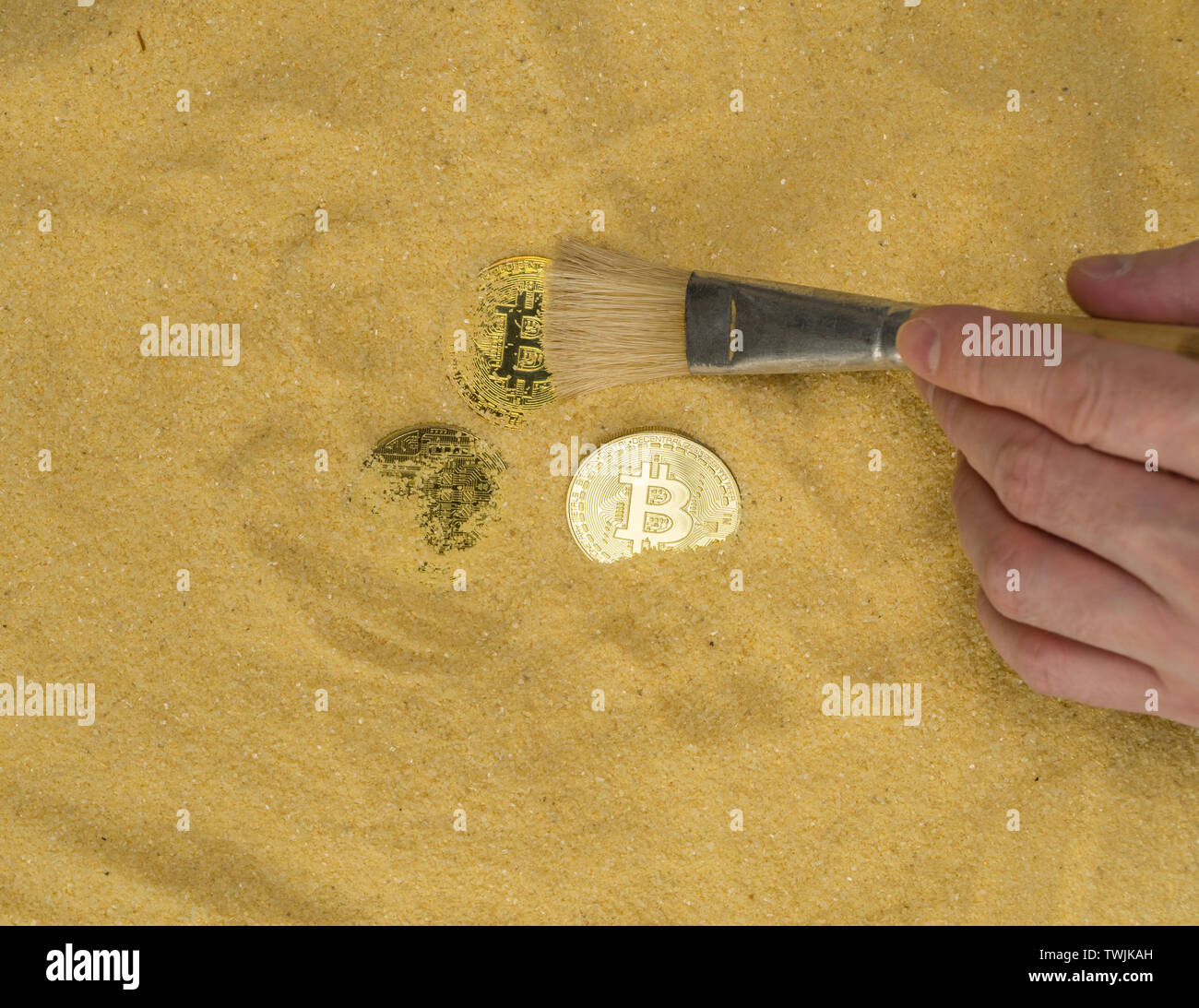 Archaeological Brush