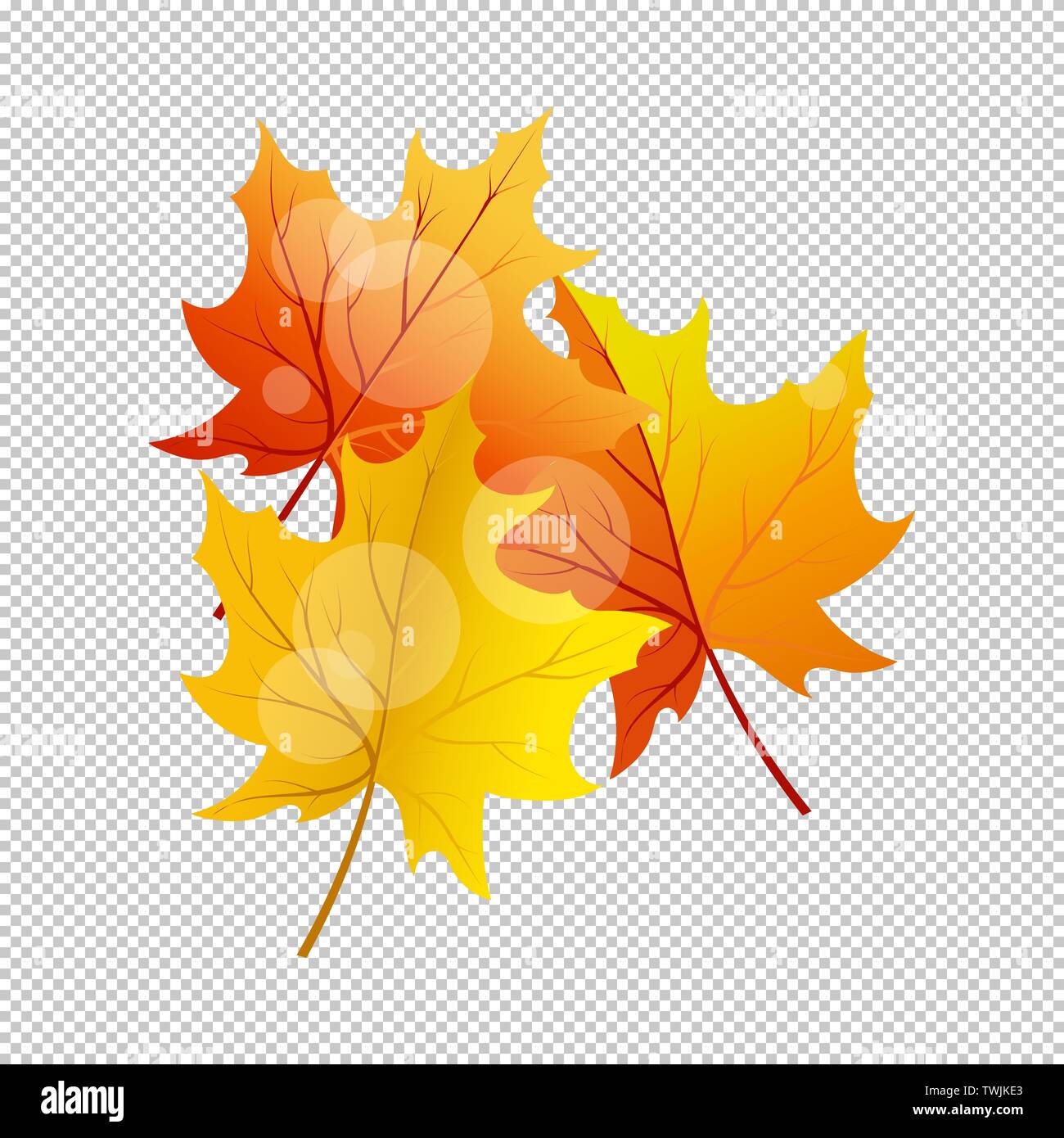 Falling maple leaves with transparency grid on back. Vector Illustration. Stock Vector